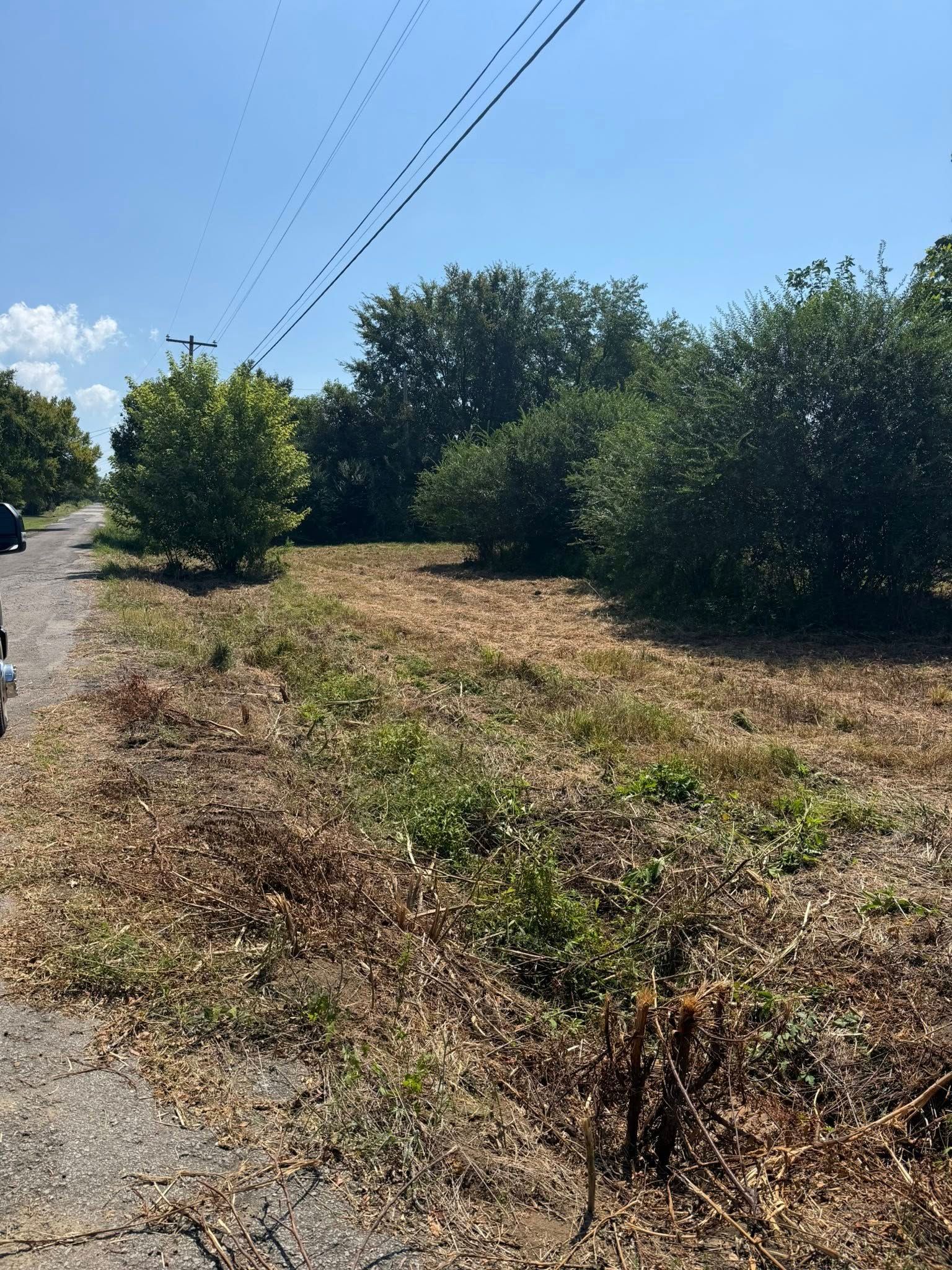 A gravel road runs alongside a field of dry, cut vegetation, leading toward a line of green trees under a clear blue sky.