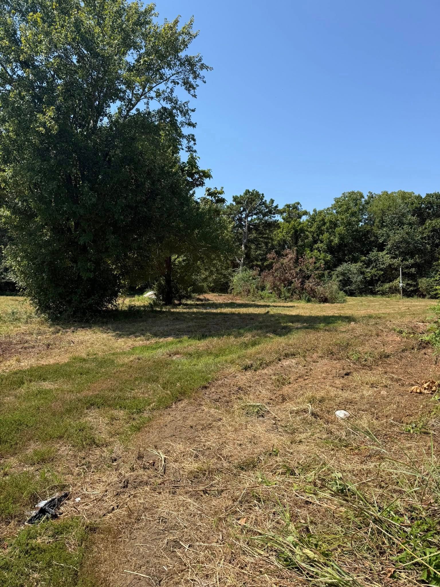 A rural field with dry, sparse grass and trees under a clear blue sky.