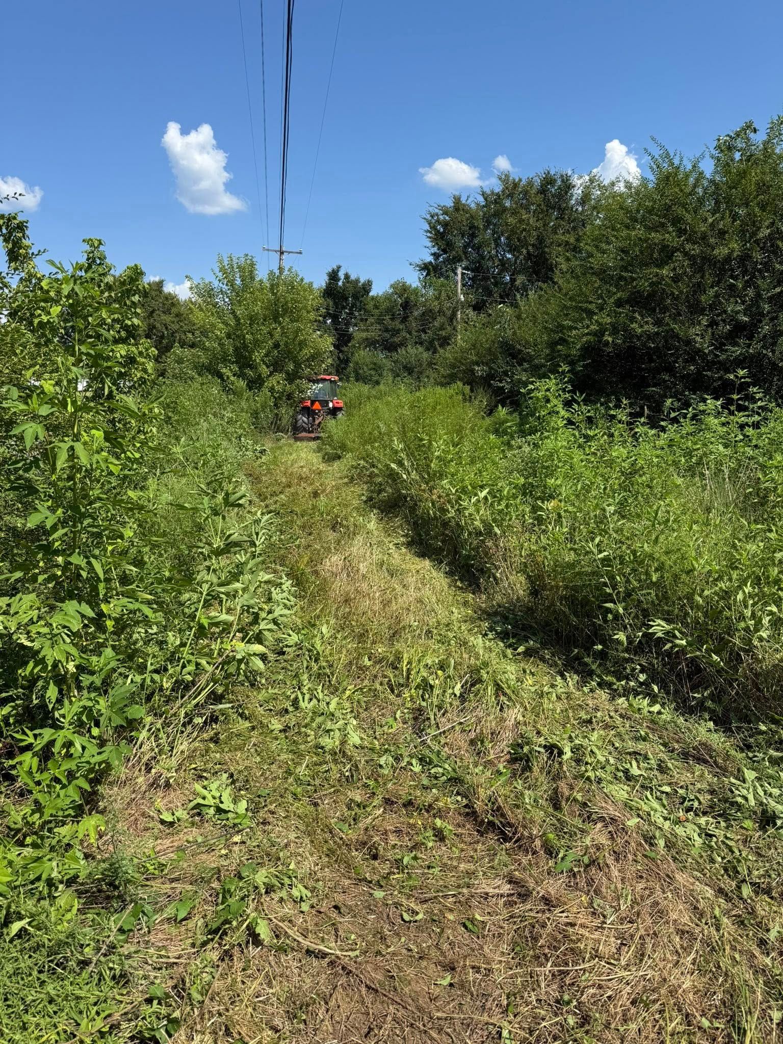 A tractor mows a path through a tall, green field under a clear blue sky.