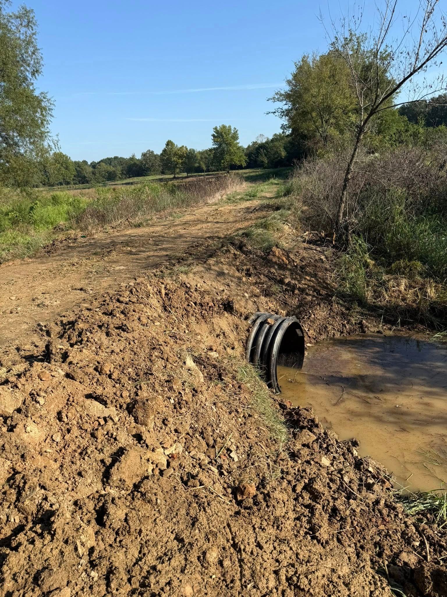 A black corrugated drainage pipe sits in a muddy embankment, with a dirt path stretching into a sunny, wooded field.