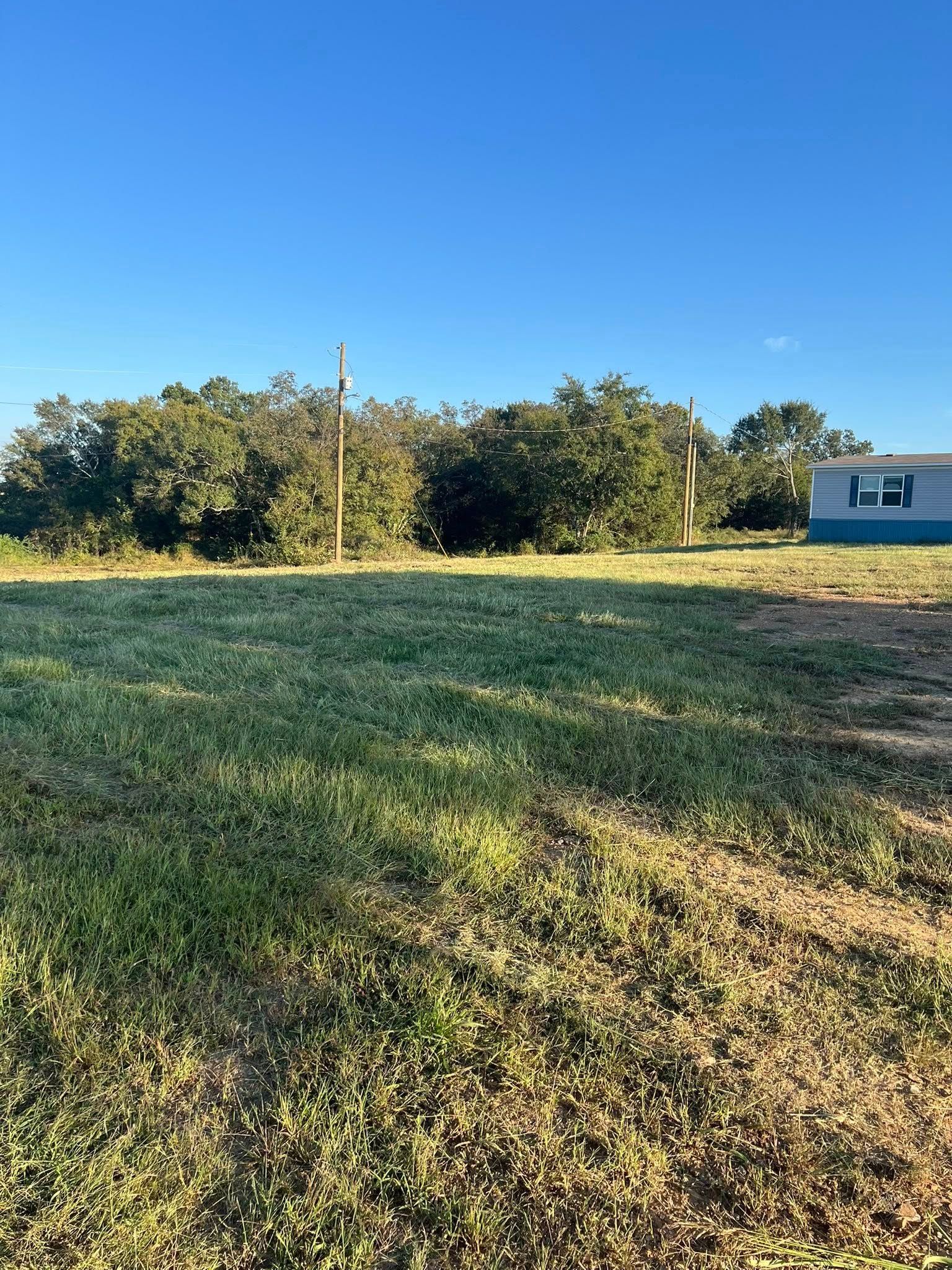A field of grass and weeds leads to a row of dense trees under a clear blue sky, with a small house on the right.