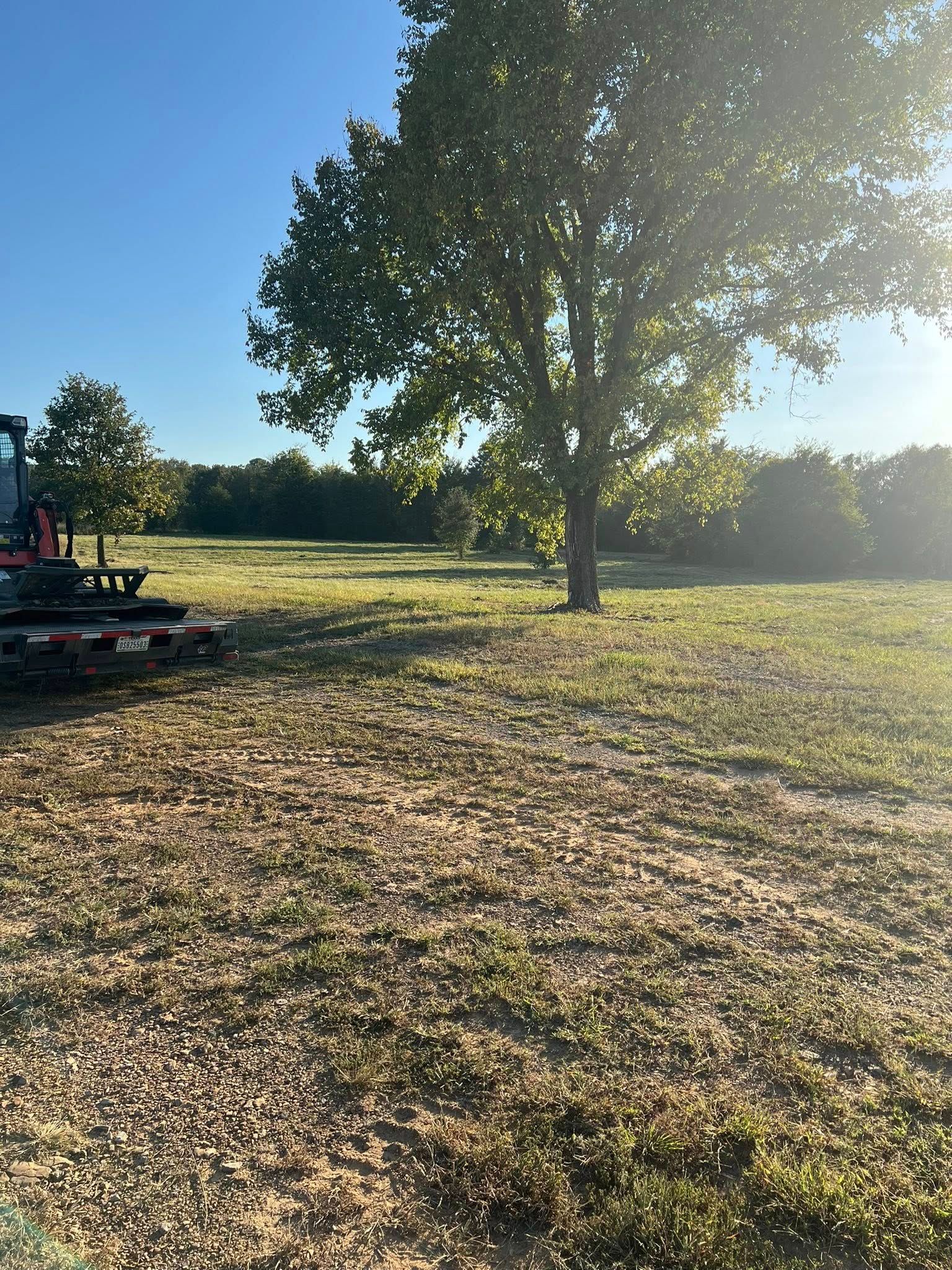 A large tree stands in a sunlit field with a construction vehicle visible on the left side of the frame.