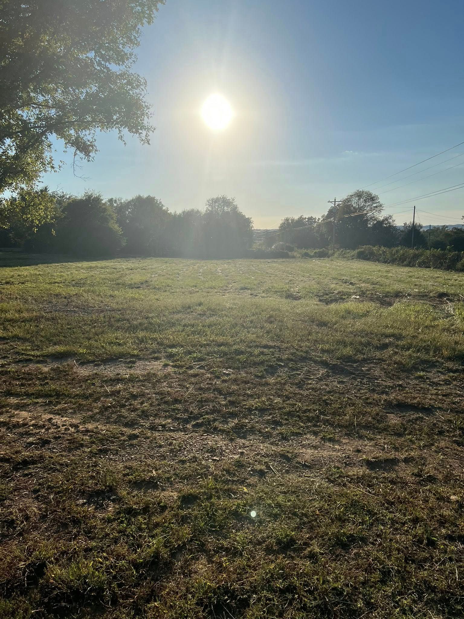 The sun shines brightly over a grassy field with trees in the background during the late afternoon.