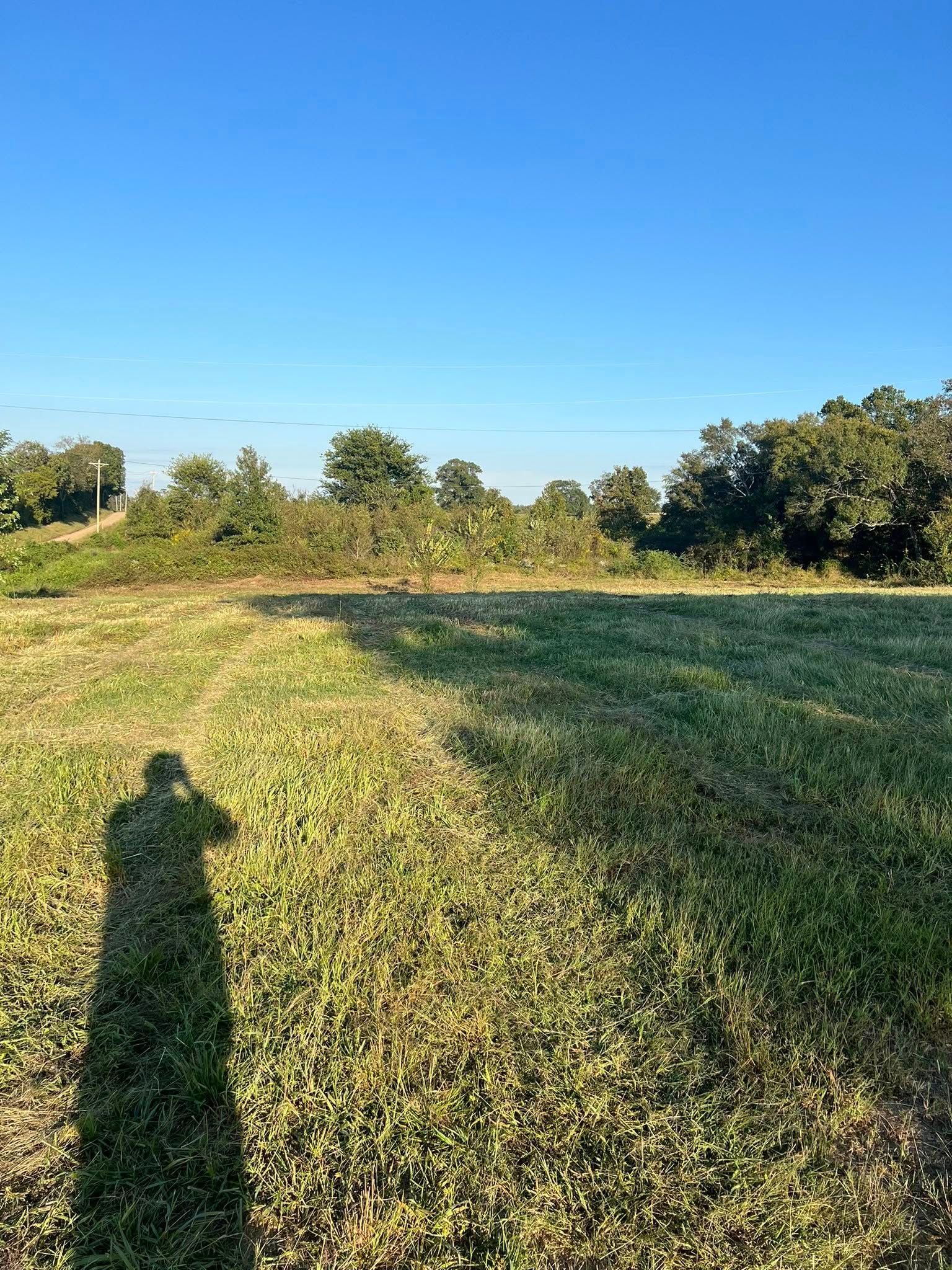 A field of mown grass under a bright blue sky, with a long shadow of a person cast across the foreground.
