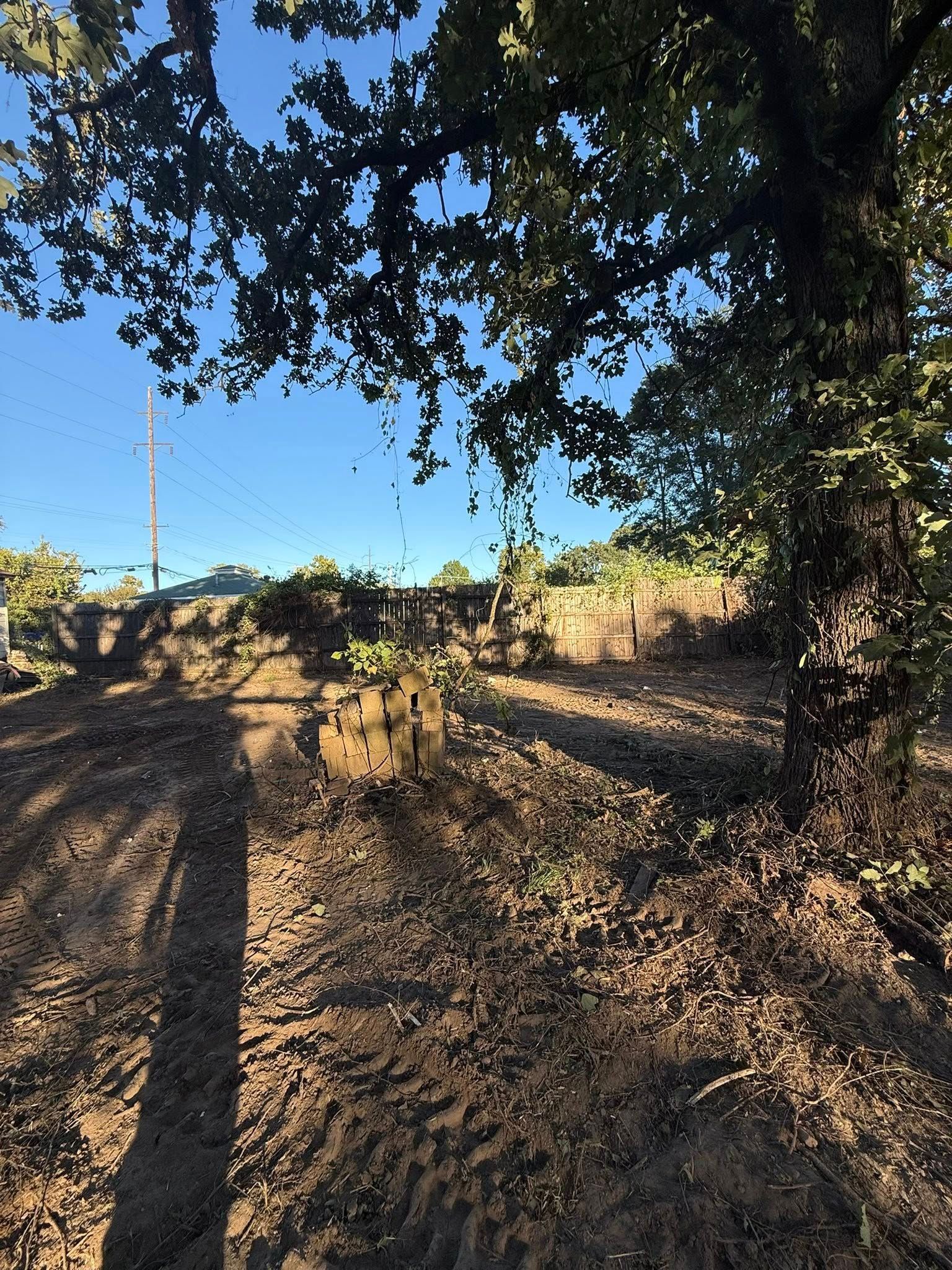 A construction vehicle with a grapple attachment sits in a dirt clearing beneath tree branches on a sunny day.