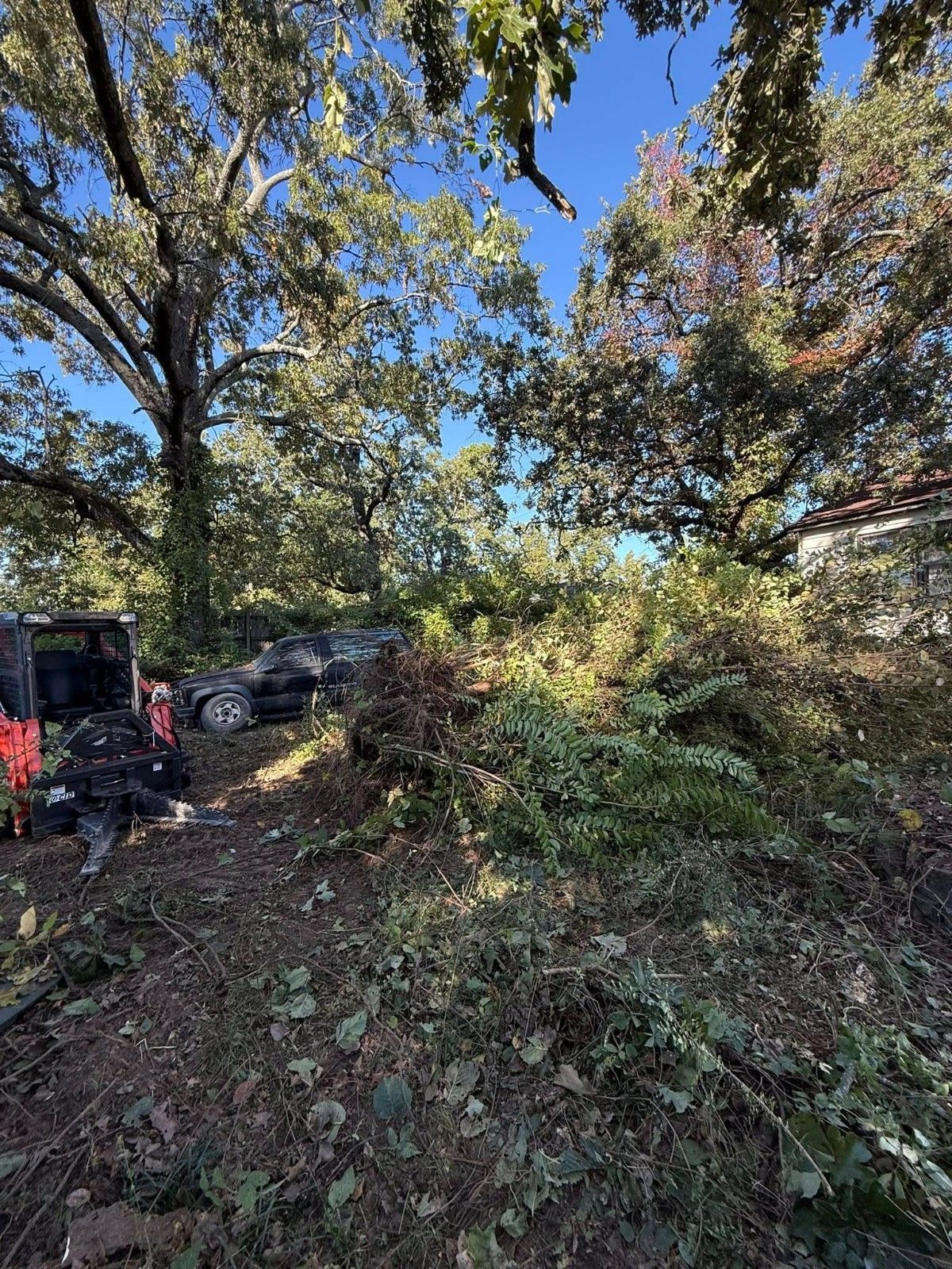 A dark truck parked on the edge of a wooded area littered with freshly cut brush and tree trimmings under a blue sky.