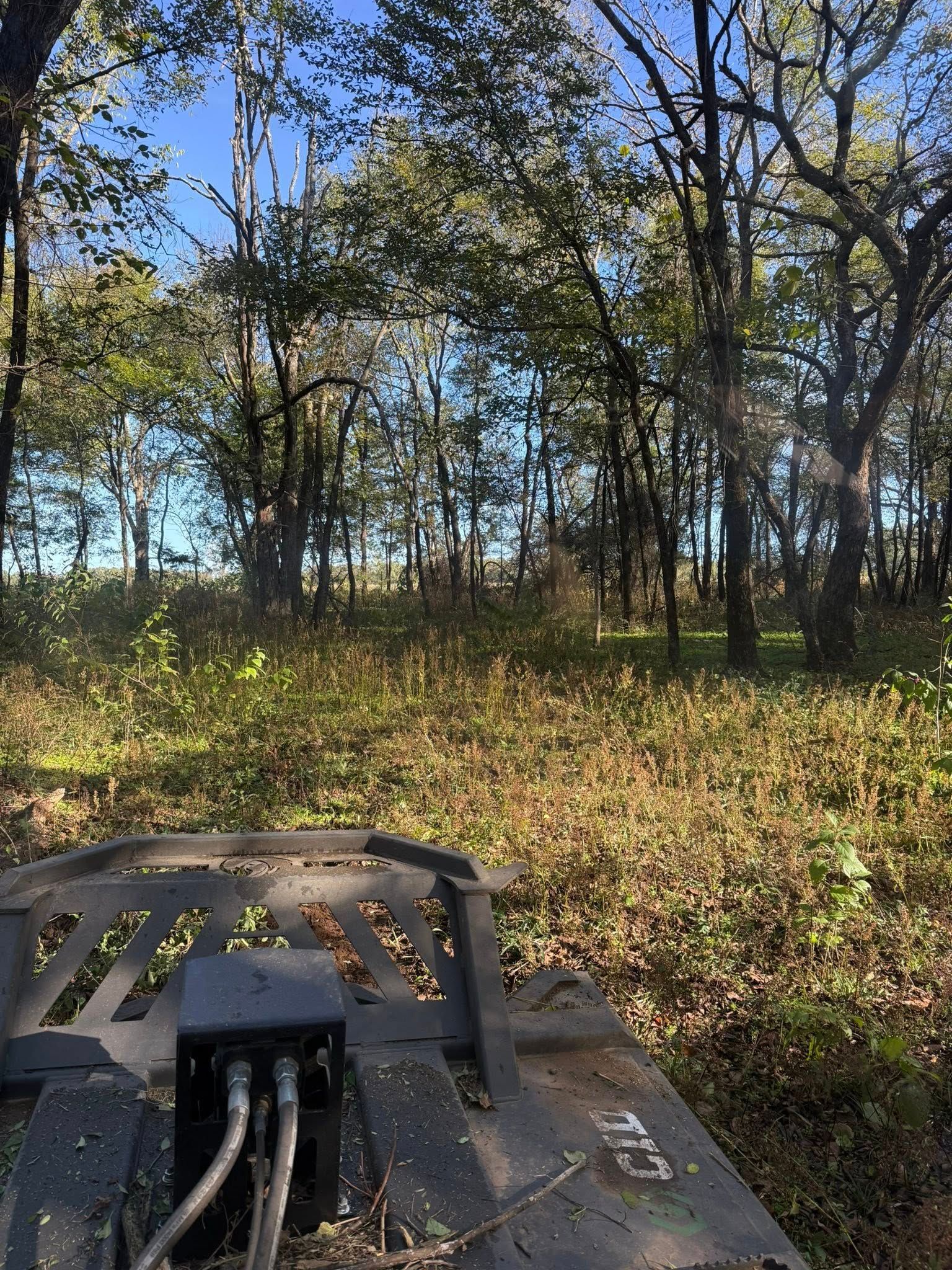 A heavy-duty brush cutter attachment is positioned in a sunlit, wooded area filled with low-lying brush and trees.