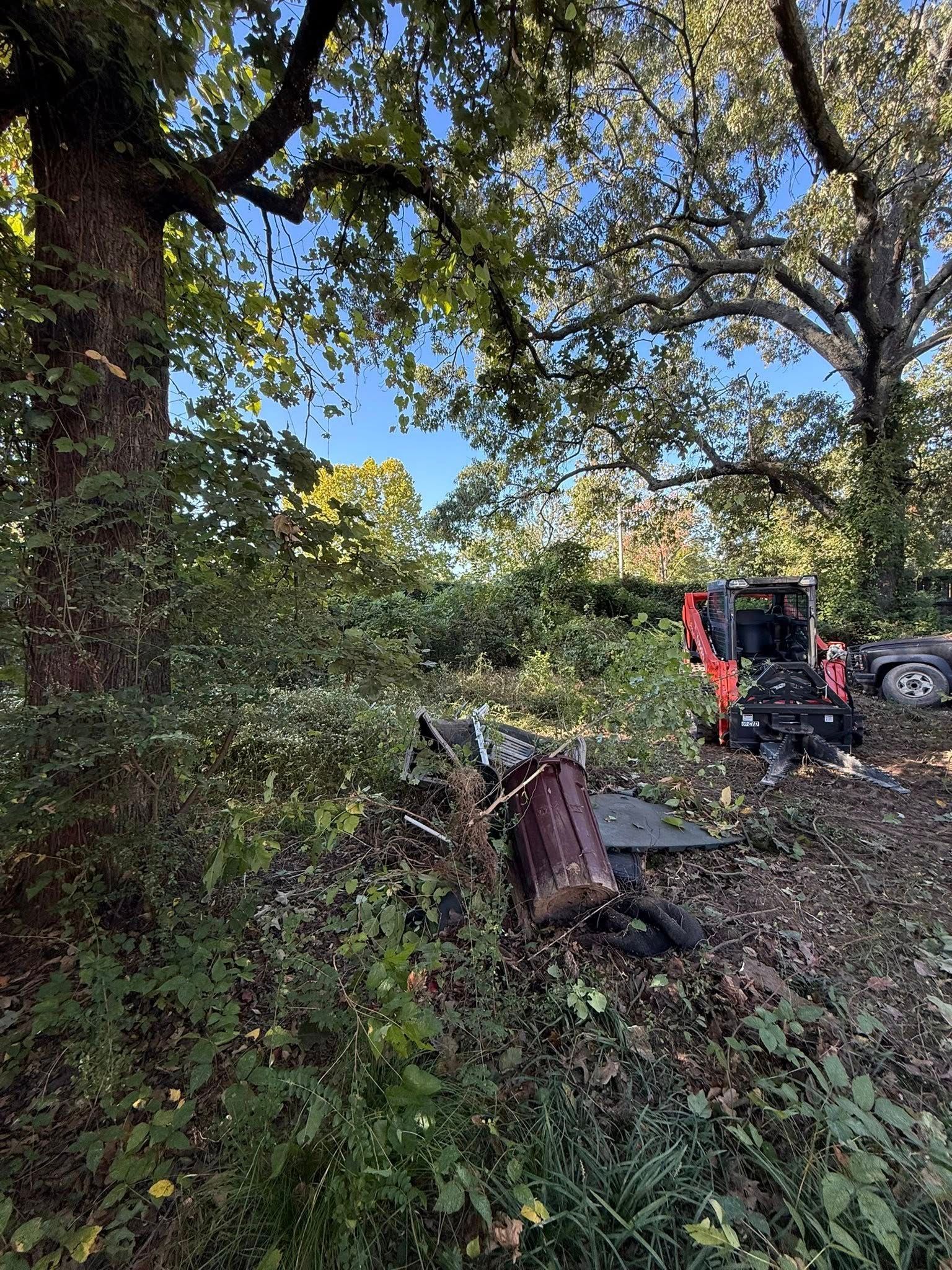 An orange skid-steer loader sits in a wooded area among scattered brush and debris on a sunny day.