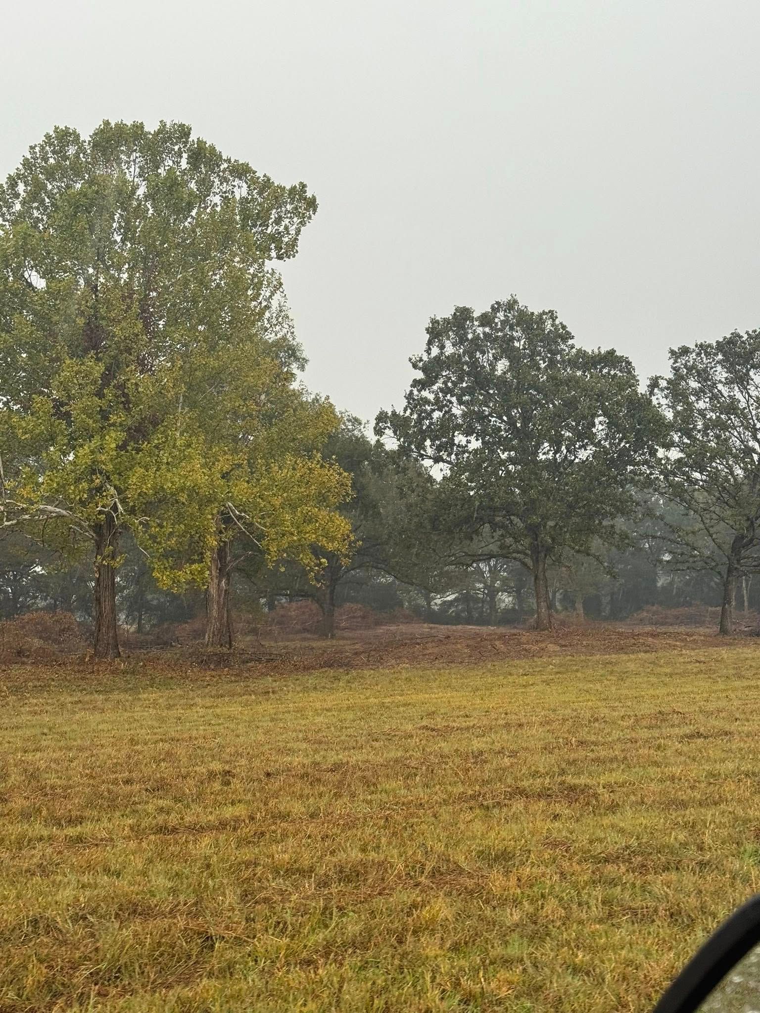 A vast, golden-brown field stretches toward a line of green and dark-leafed trees under a hazy, overcast gray sky.
