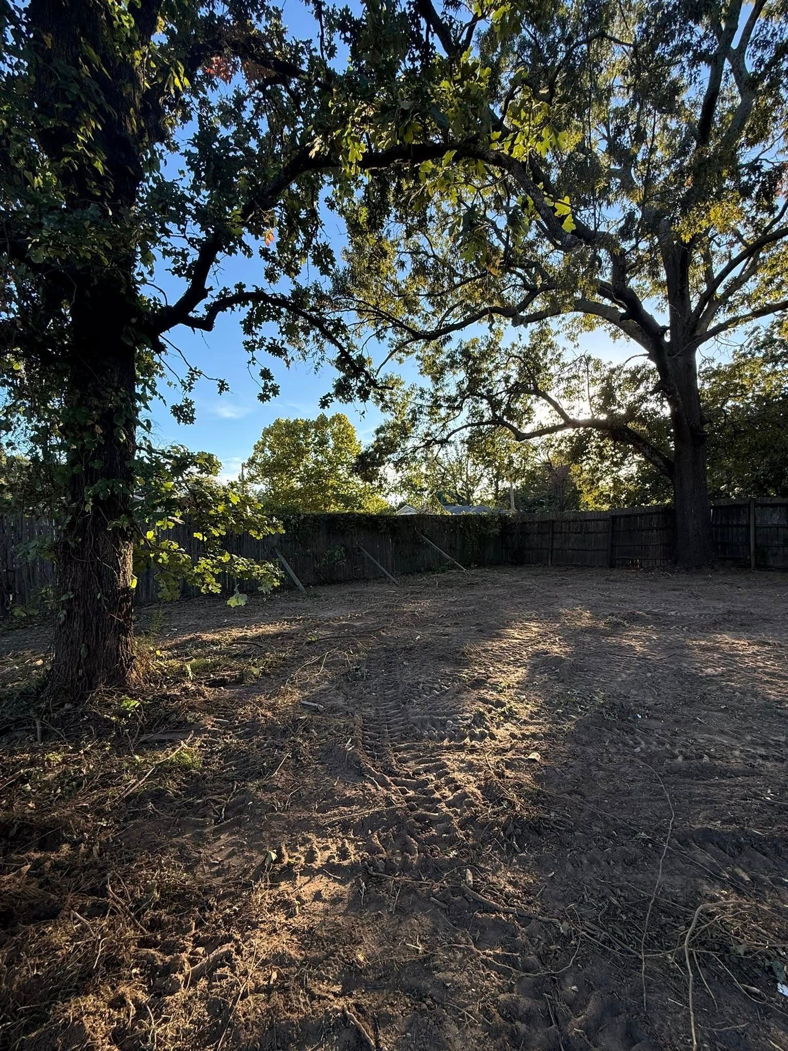 A sunlit, grassy yard under a canopy of large, leafy trees, framed by a chain-link fence in the background.