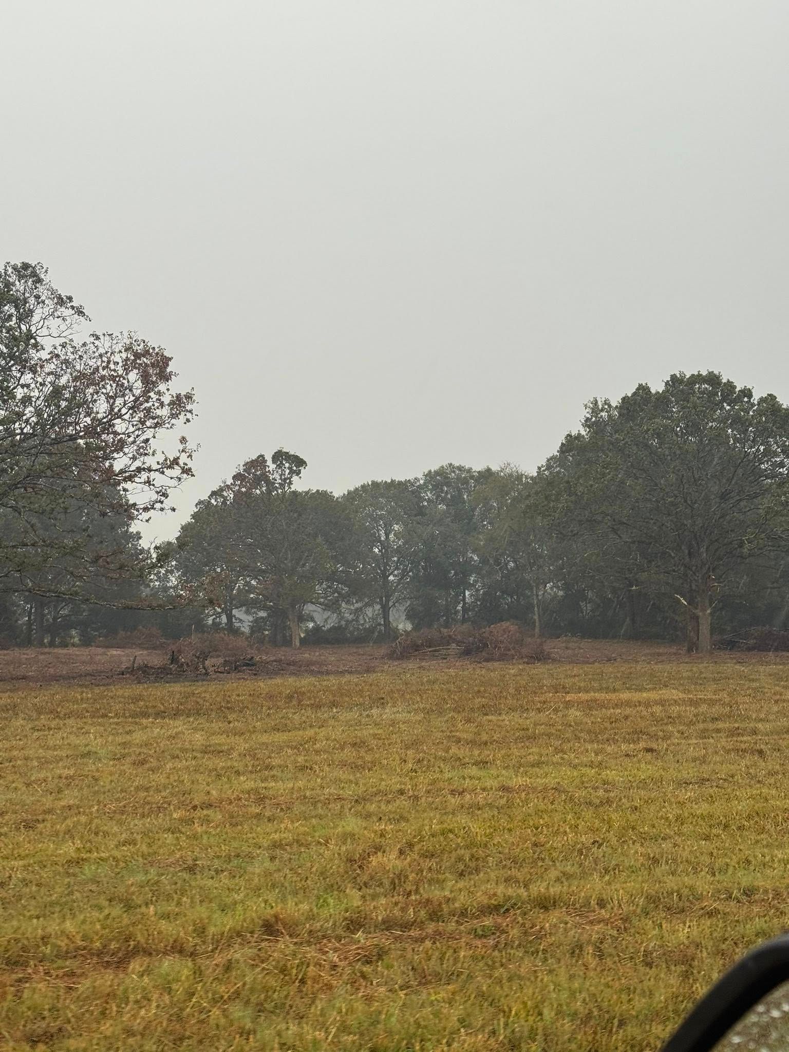 A wide view of a harvested field under a hazy, overcast sky with a line of trees in the background.