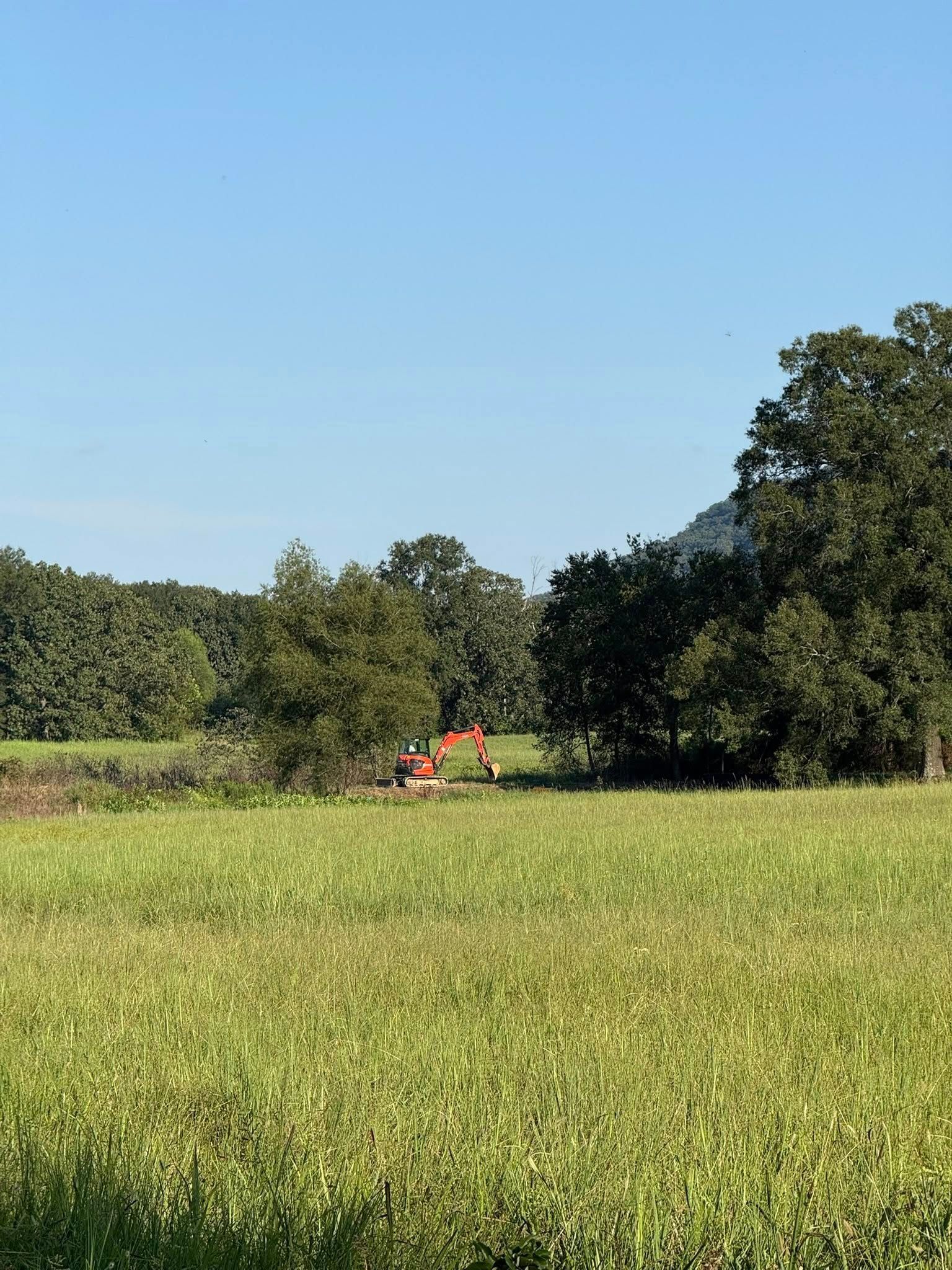 An orange construction excavator sits in a grassy field near a line of trees under a clear blue sky.