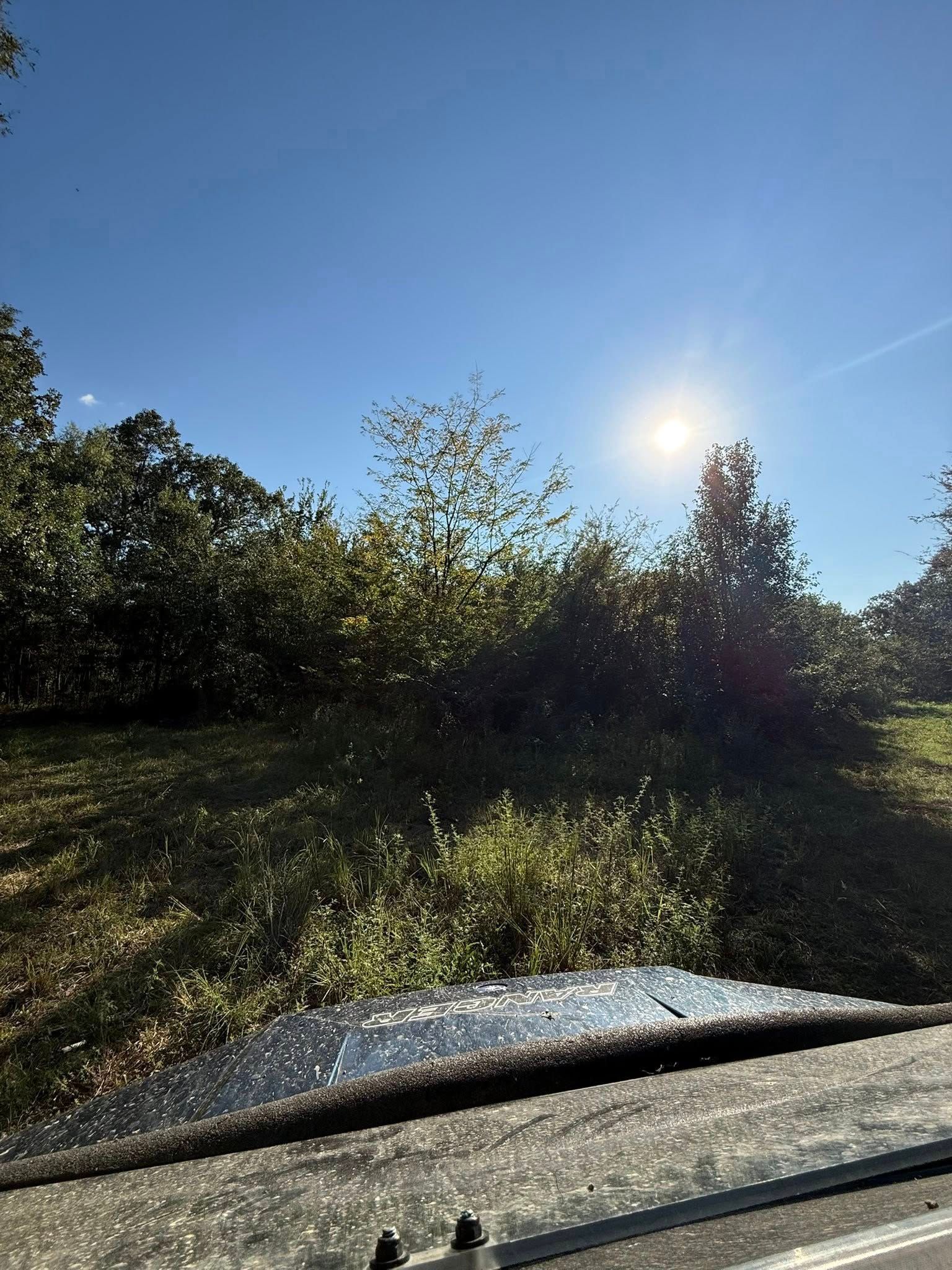 Bright sun shines over a grassy hill and dense green trees against a clear blue sky, viewed from a car windshield.