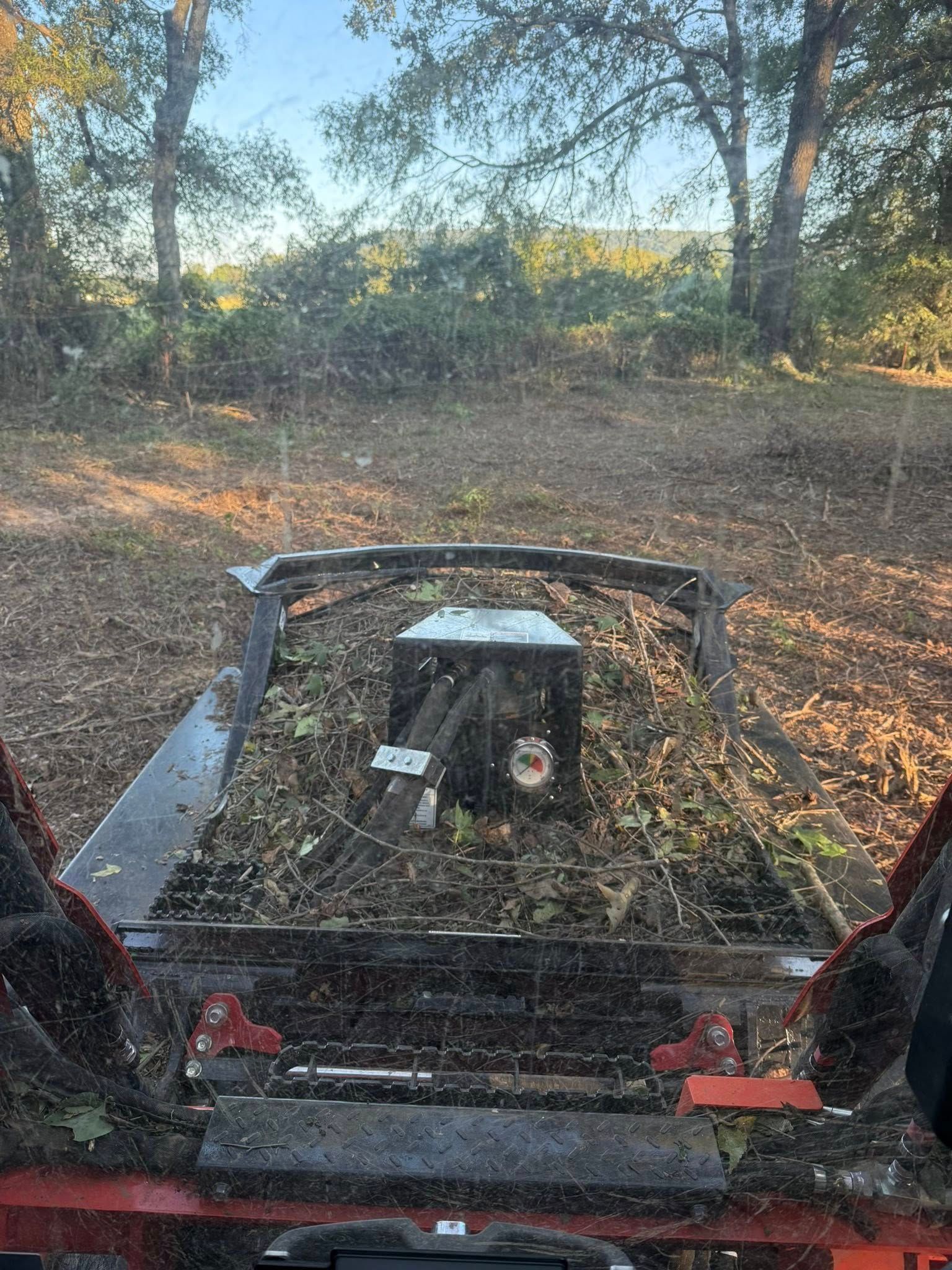 A first-person view from inside a skid steer operating a forestry mulcher on a wooded lot cleared of brush and trees.