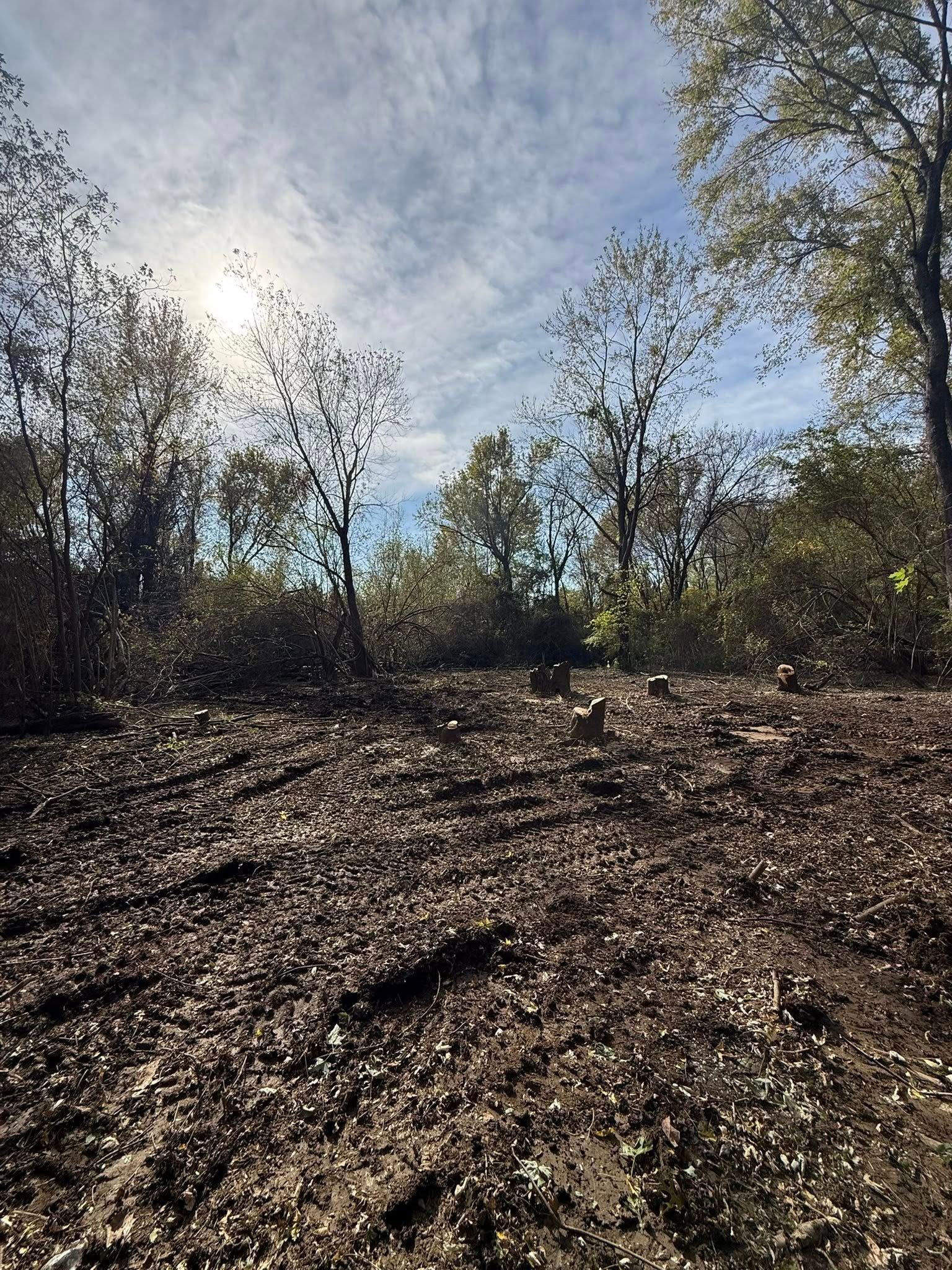 Sunlight filters through trees over a field cleared of vegetation, revealing dark, tilled soil covered in dry leaves.
