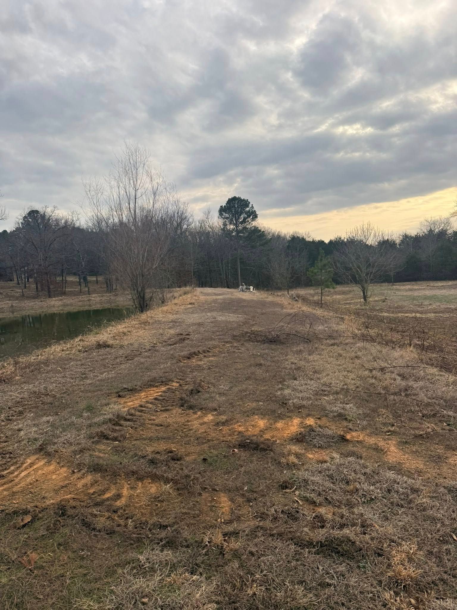 A path through a field of dry, brown grass leads toward a line of bare trees under a cloudy sky.