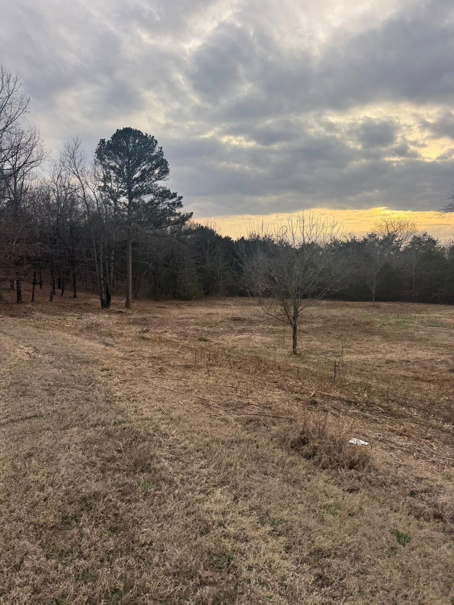 A rural landscape with a dormant field, scattered trees, and a distant treeline under a cloudy sunset sky.