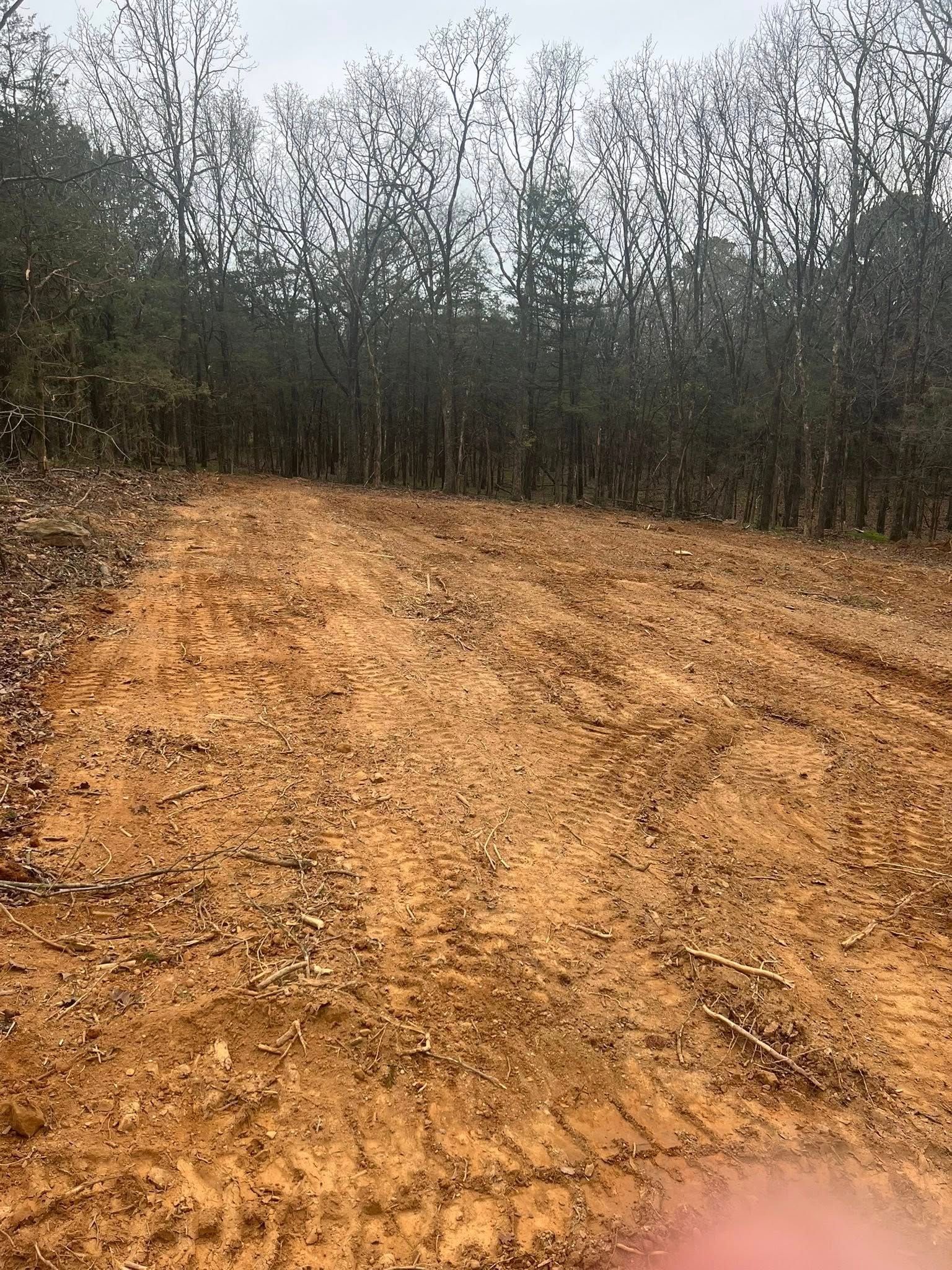 A clearing of bare, brown, disturbed soil bordered by a dense forest of tall, leafless trees under an overcast sky.