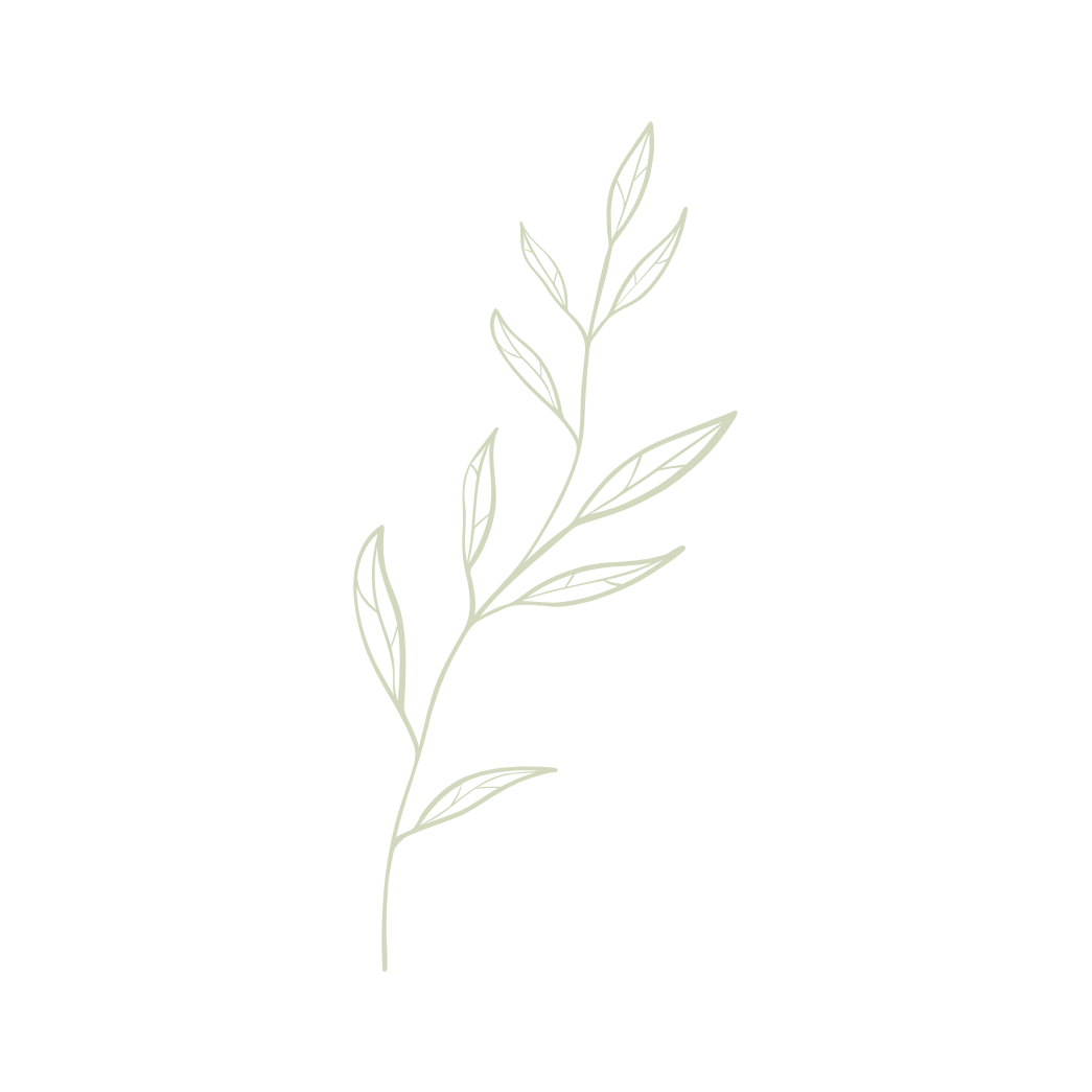 Light green sprig with delicate leaves.