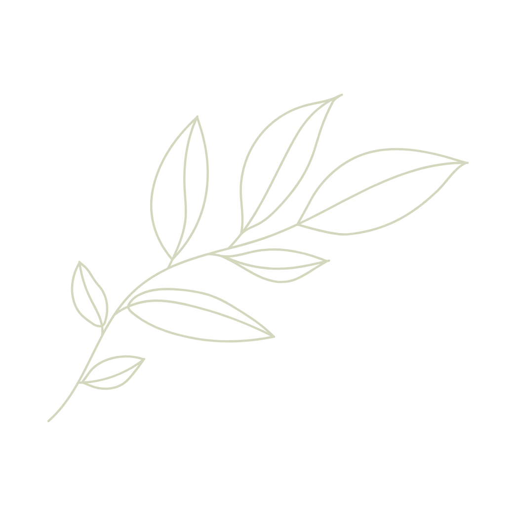 Light green sketched branch with five leaves.