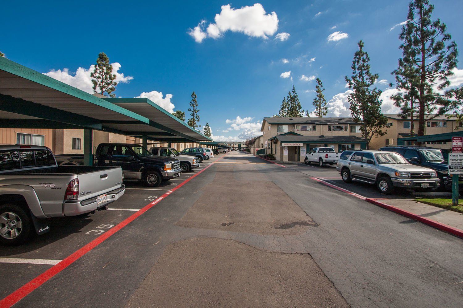 Coral_Tree_Parking