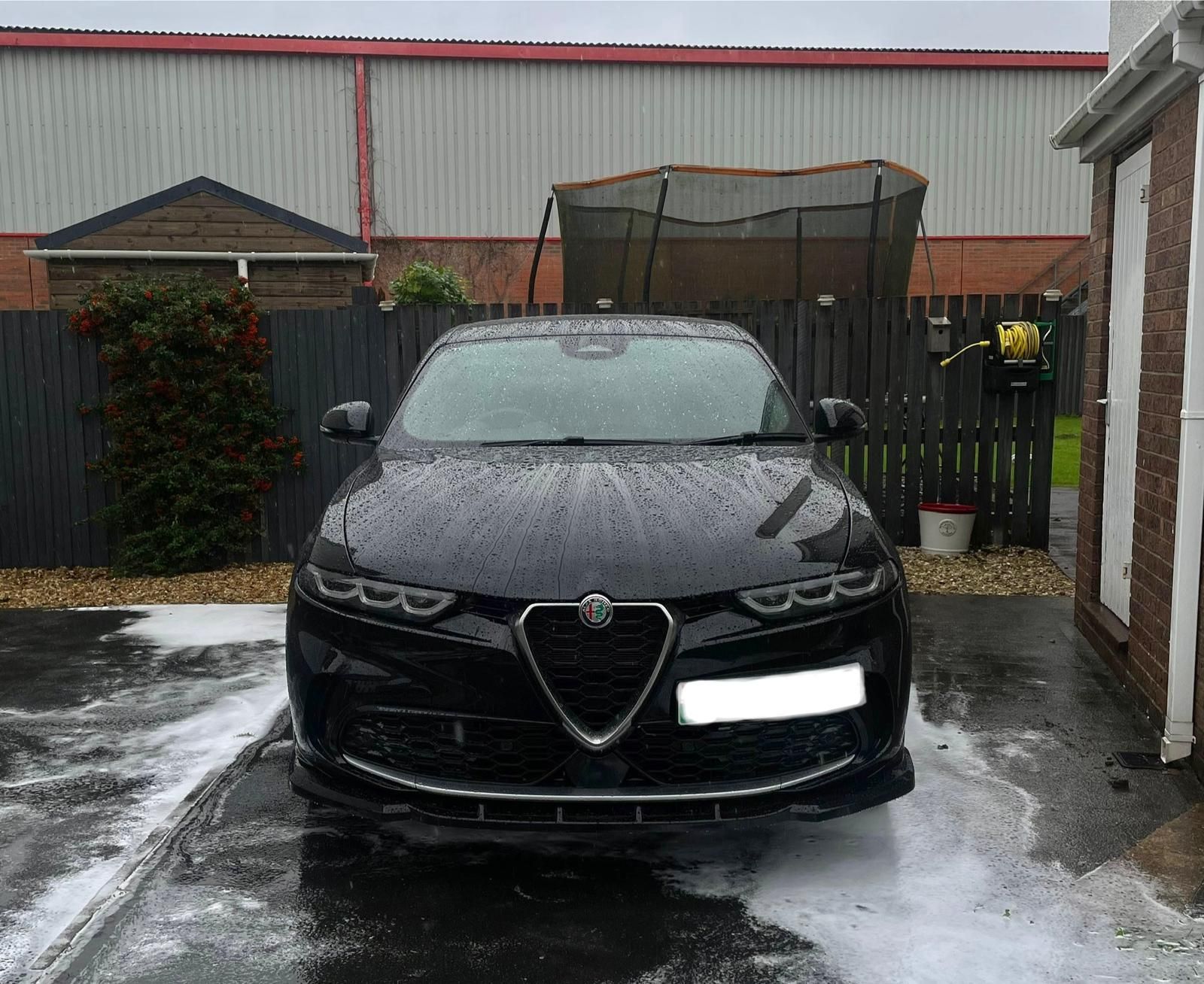 Black Alfa Romeo car being washed in a driveway.