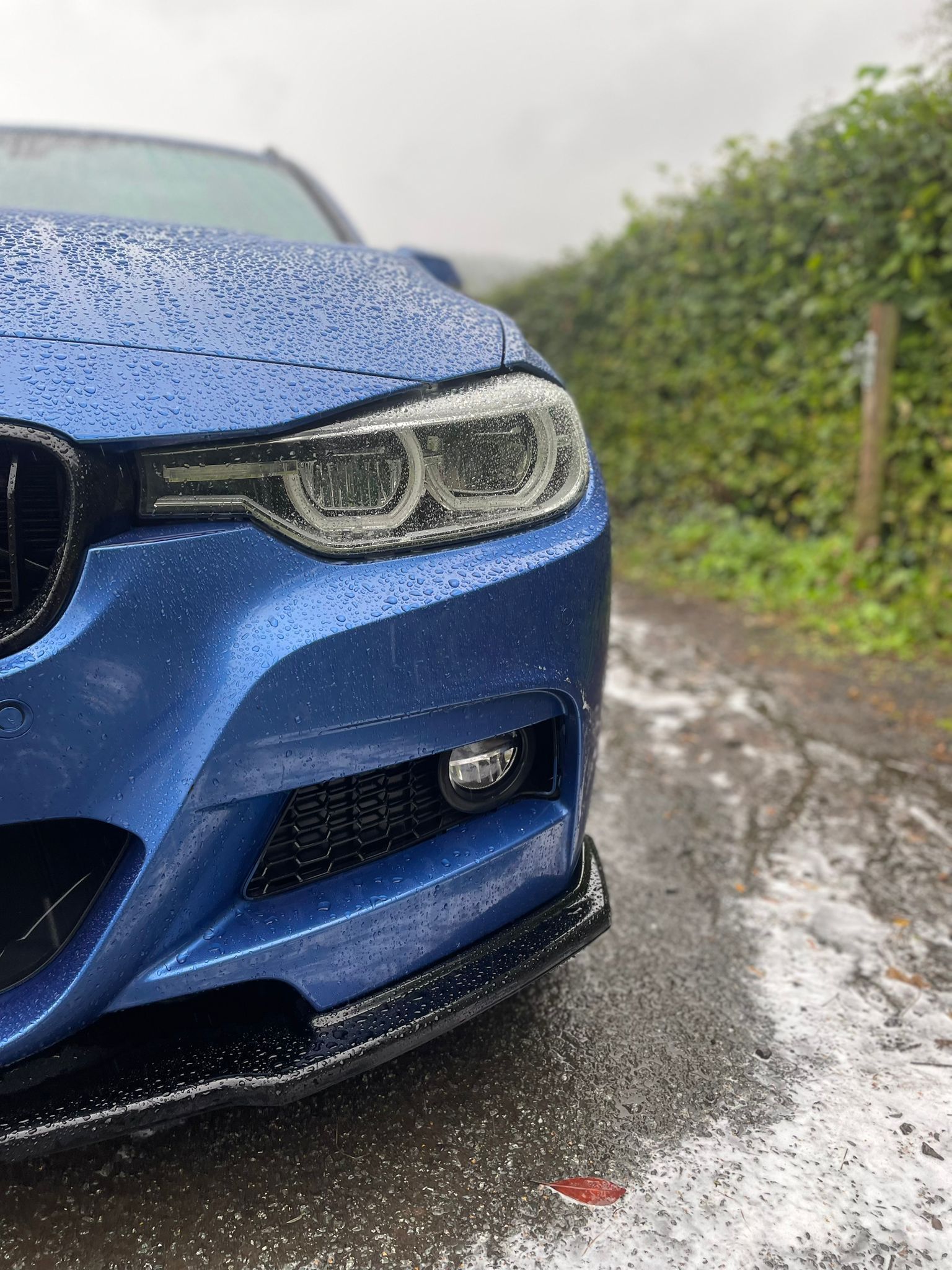 Blue BMW car in the rain, close-up of the front. Wet road and green hedge in the background.