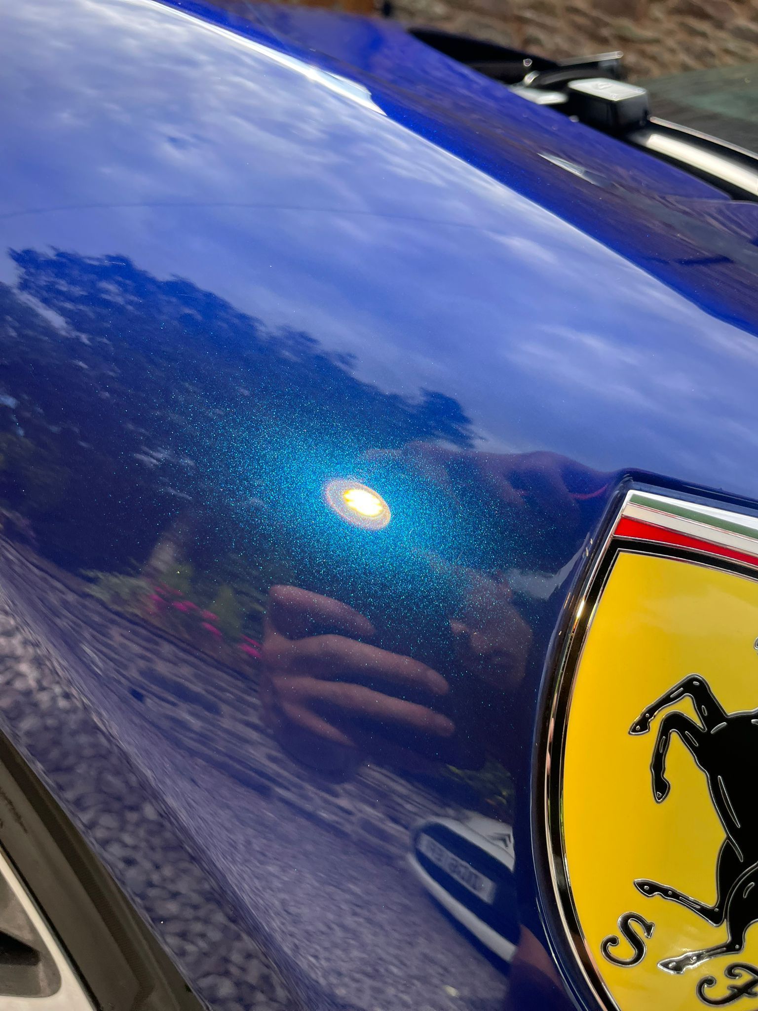 Blue Ferrari car hood with light reflecting off the paint, showing a Ferrari logo.