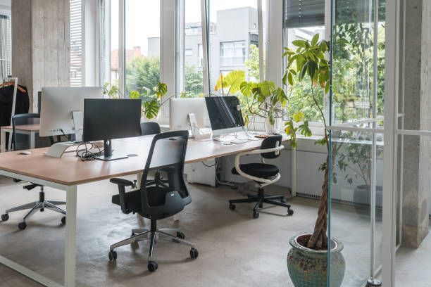 Modern office workspace with two desks, computers, ergonomic chairs, and potted plants near a large window.