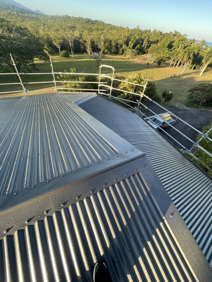 Corrugated metal roof with safety railing, set against a green forest backdrop.