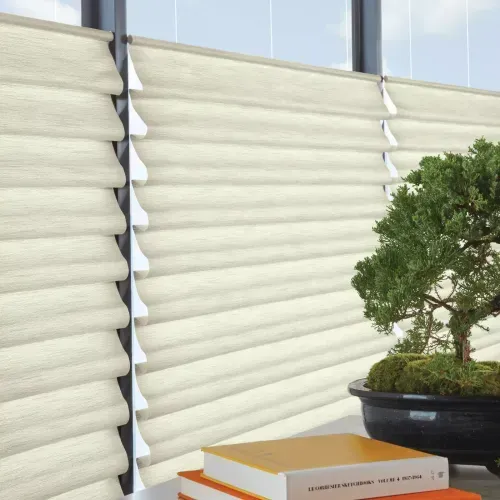 A window with white blinds and a bonsai tree