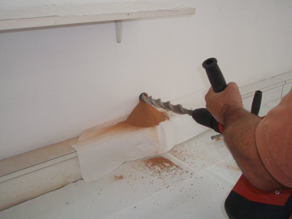 Execution of the tests