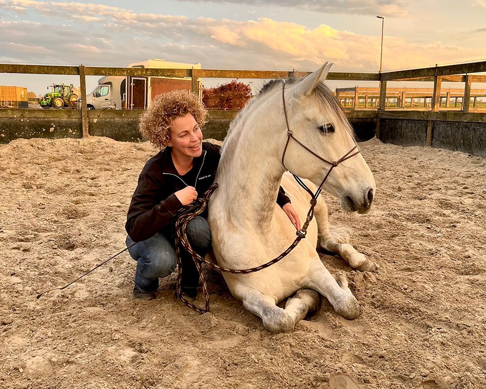Plezier met vrijheidsdressuur, paard gaat liggen op commando