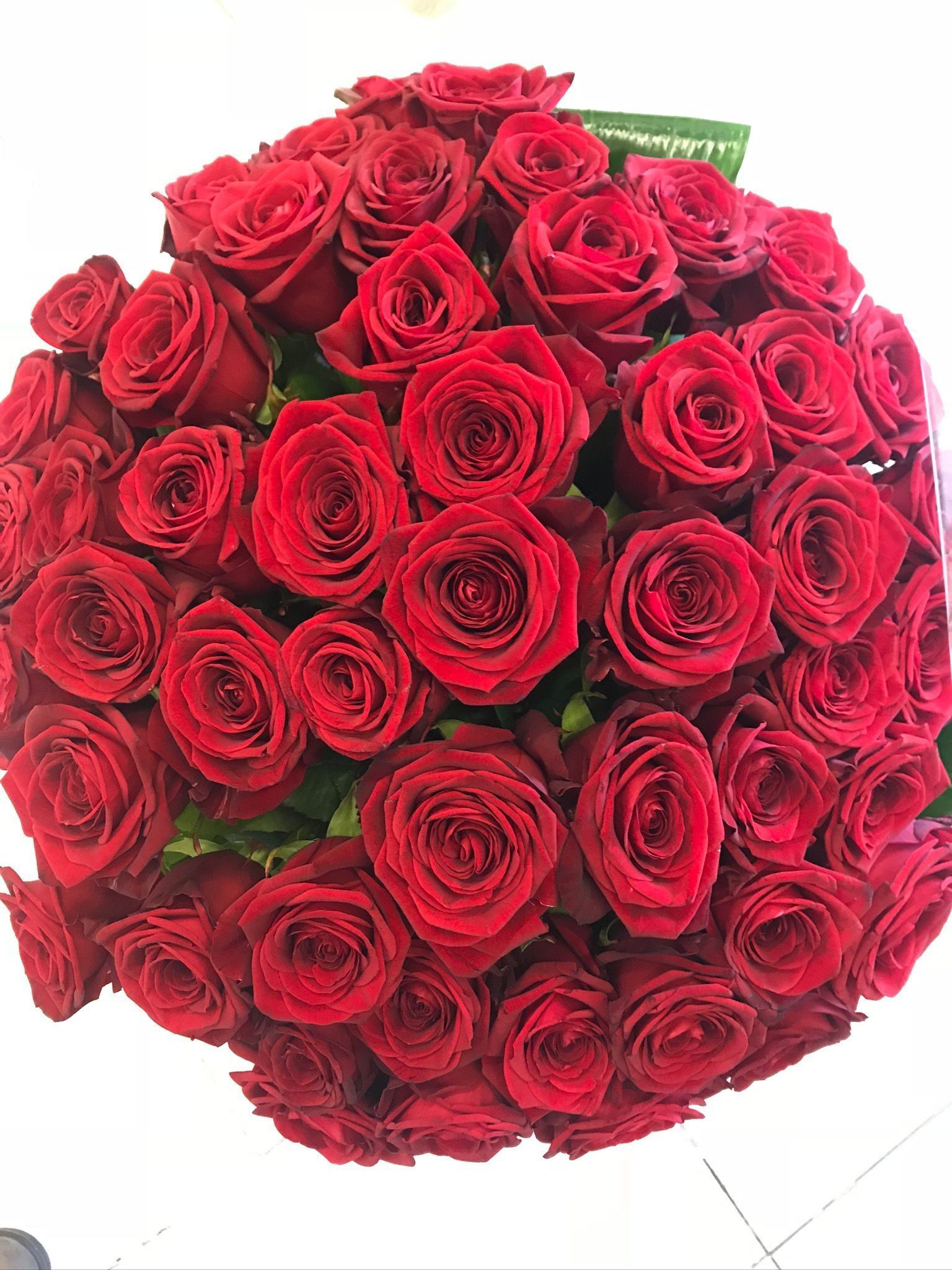 Un grande bouquet rotondo di rose rosse vivaci, fittamente disposte su uno sfondo chiaro.