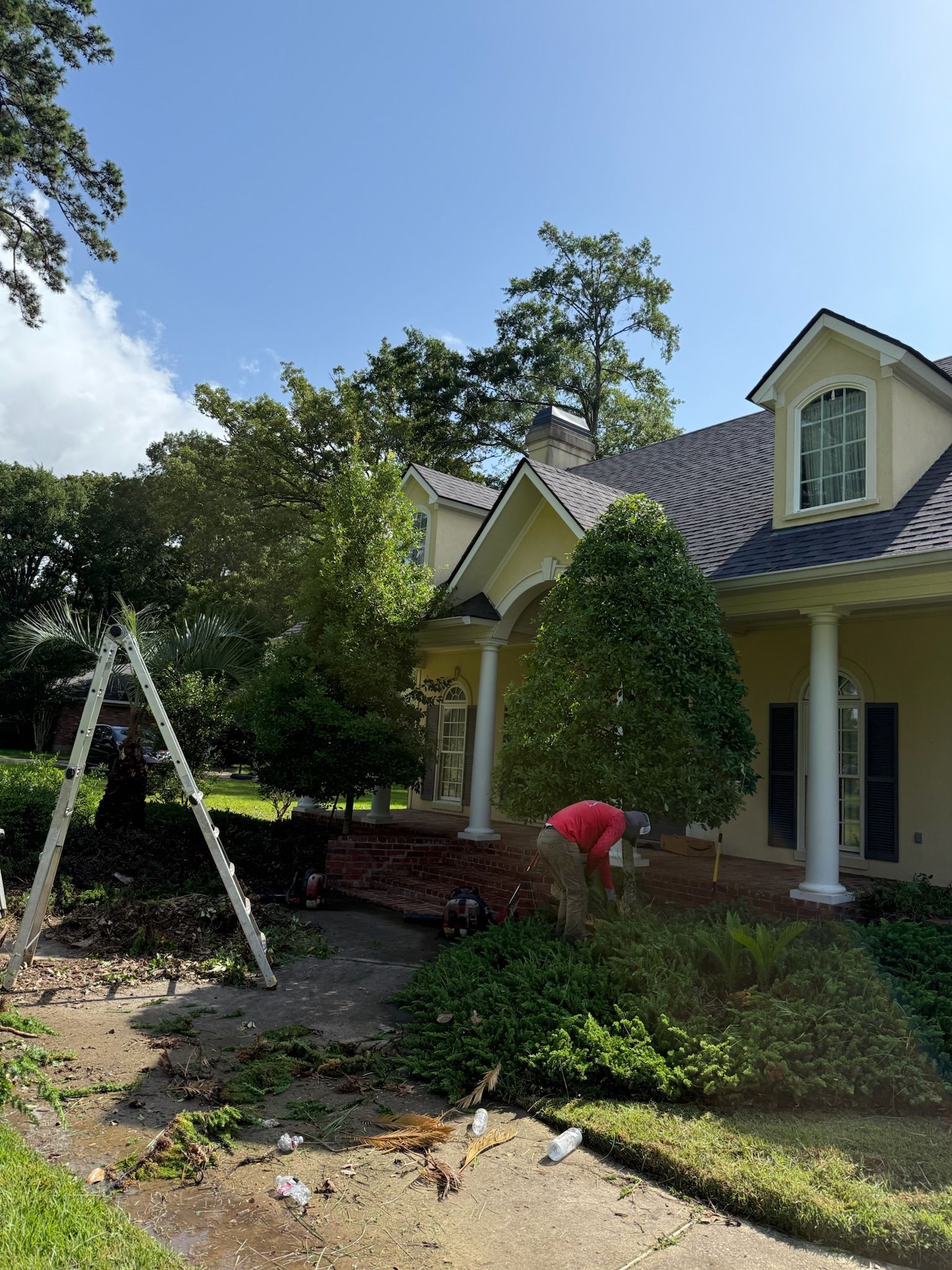 A Ox Service employee in a red shirt pruning a bush in front of a light-colored home with a dark metal roof and a ladder on the lawn.