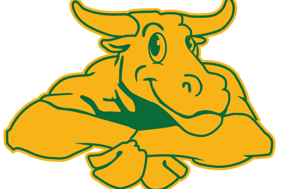 Movers Near Me | Movers Henrico VA | Professional and Friendly | Short