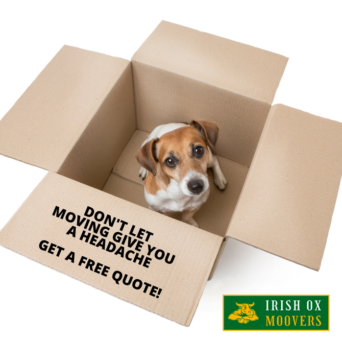 A dog is in a cardboard box that says do n't let moving give you a headache get a free quote