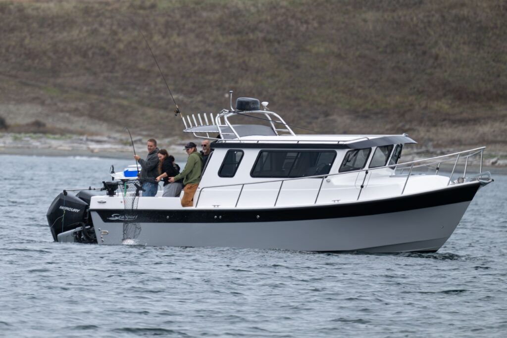 Roof Top Radar Arch by Tanner Manufacturing on a Sea Sport boat
