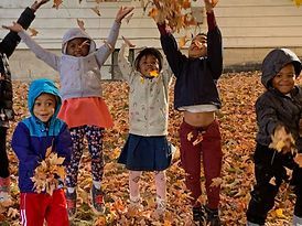 A group of children are throwing leaves in the air.