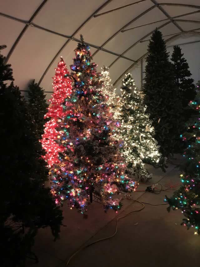 Colorful Lights in Christmas Tree — Holiday Items in Sacramento, CA