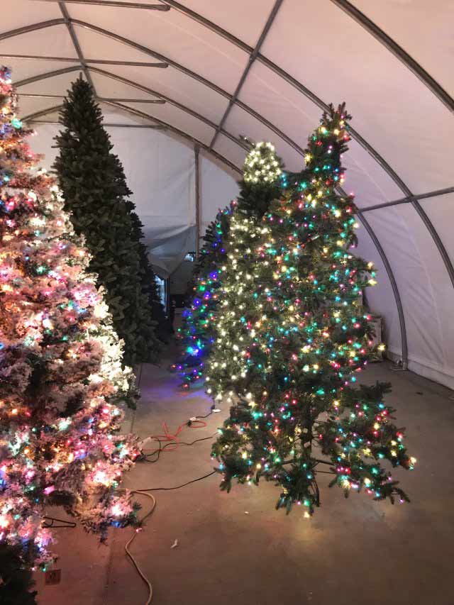 Semi Colorful Christmas Tree — Holiday Items in Sacramento, CA
