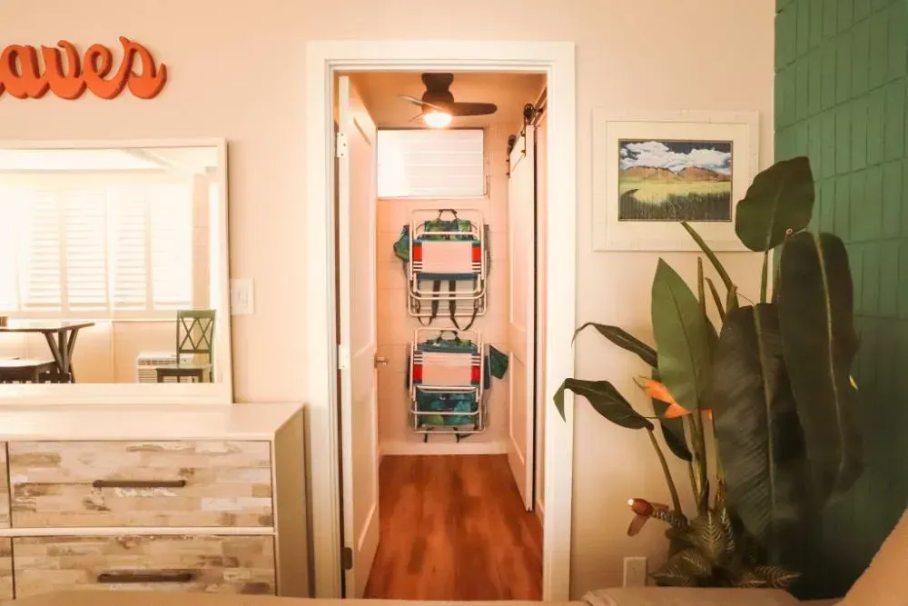 A room with a dresser and a mirror and a plant