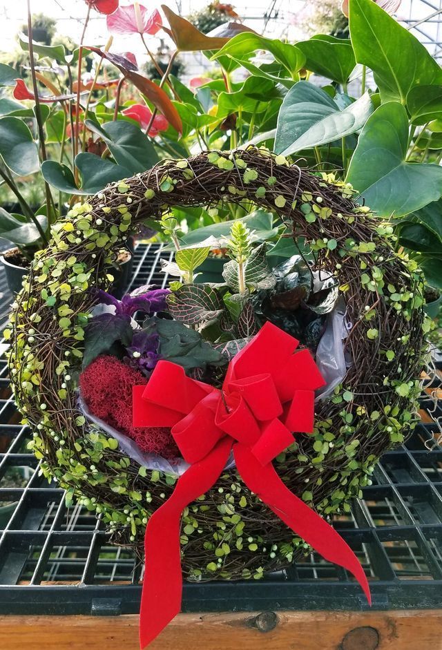 A Wreath with A Red Bow Is Sitting on A Shelf Surrounded by Plants | Bentonville, AR | Bogle's Garden City