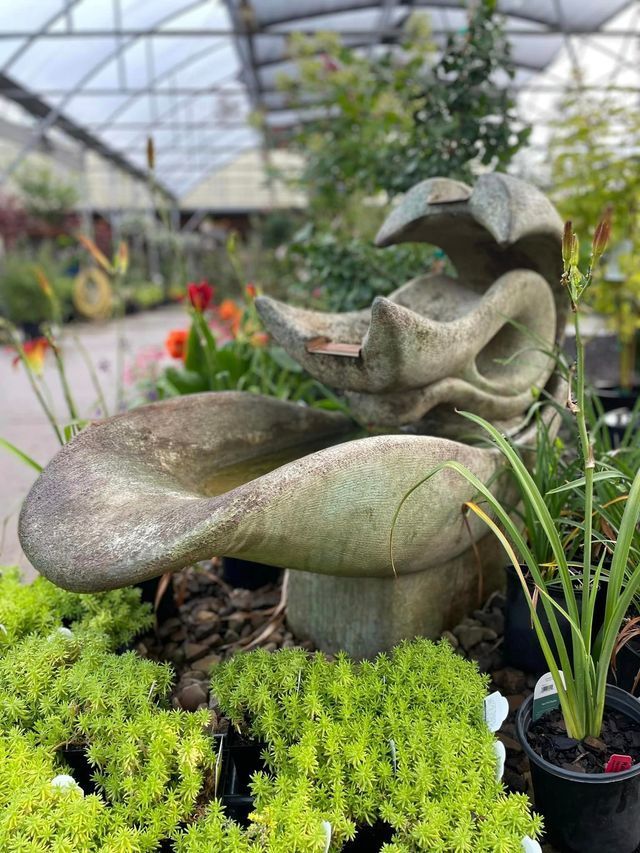 There Is a Fountain in The Middle of A Greenhouse Surrounded by Potted Plants | Bentonville, AR | Bogle's Garden City