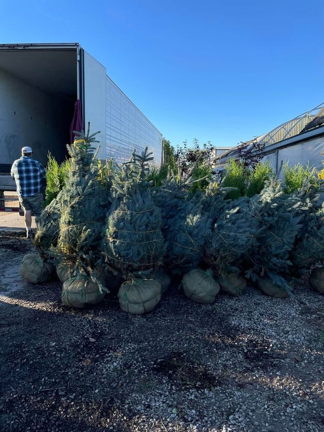 A Man Is Standing in Front of A Truck Full of Trees | Bentonville, AR | Bogle's Garden City