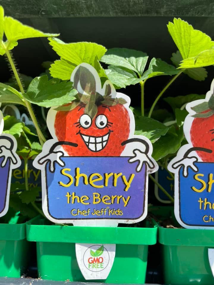 A Row of Strawberry Plants with Stickers on Them that Say Sherry the Berry | Bentonville, AR | Bogle's Garden City