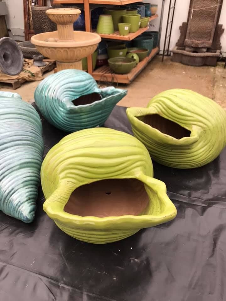 A Group of Seashell-Shaped Pots Are Sitting on A Table | Bentonville, AR | Bogle's Garden City