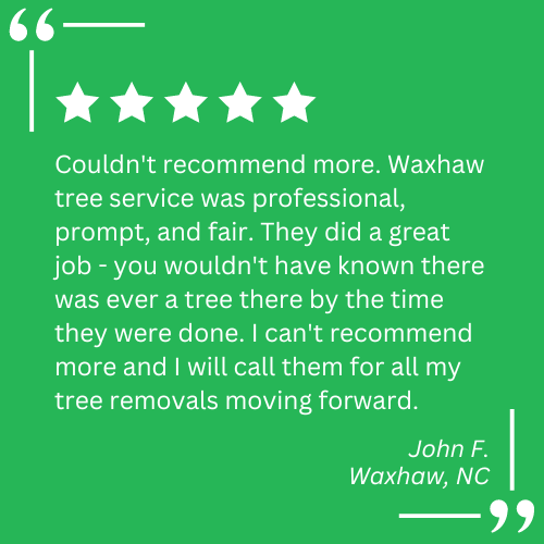 tree cutting and stump grinding near me
