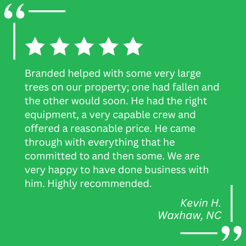 stump grinding services near me
