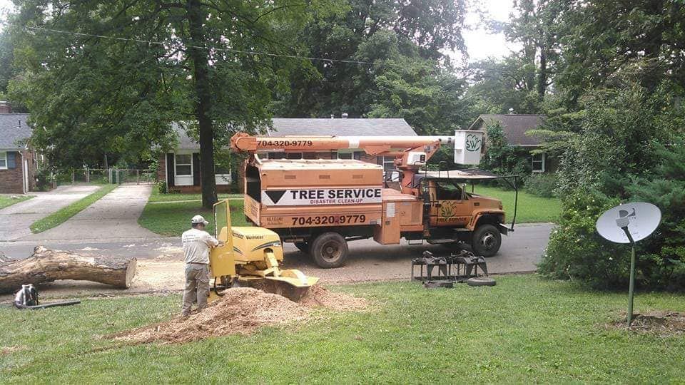 Stump Grinding
